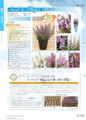 mbf_078