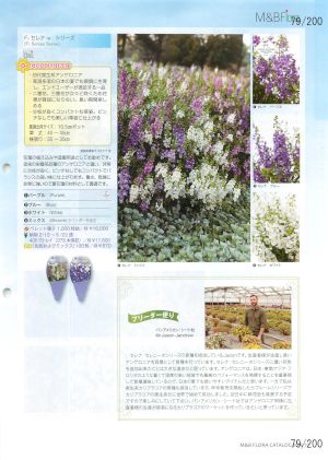 mbf_079