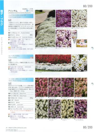 mbf_080
