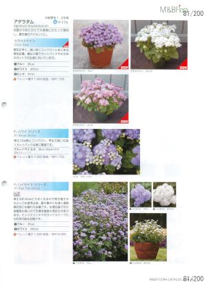 mbf_081