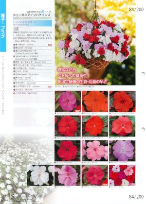 mbf_084