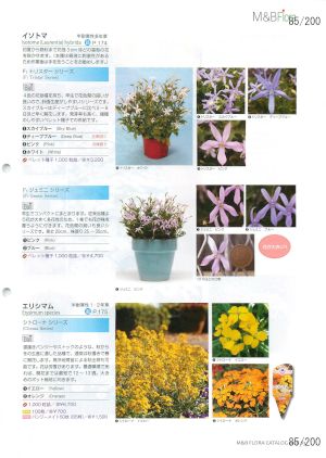 mbf_085