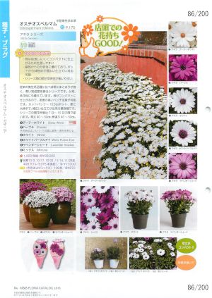 mbf_086
