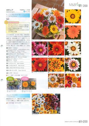 mbf_087