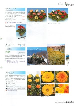 mbf_089