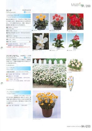 mbf_091