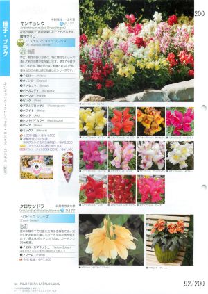 mbf_092