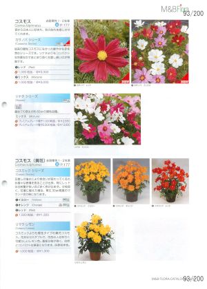 mbf_093