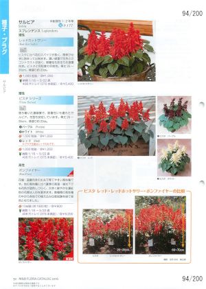 mbf_094