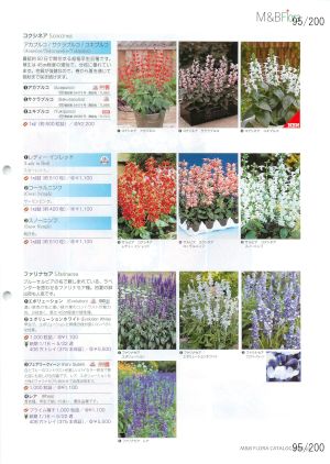 mbf_095