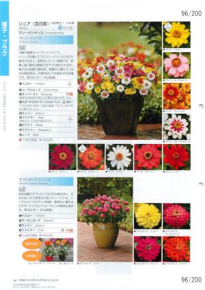 mbf_096