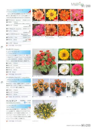 mbf_097