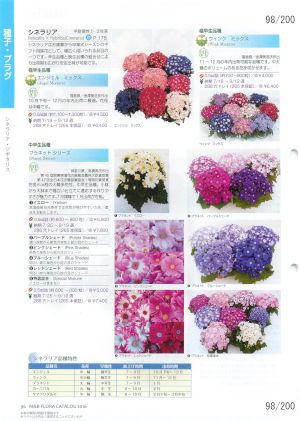 mbf_098