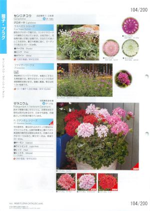 mbf_104