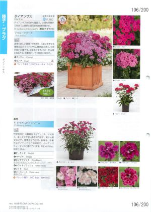mbf_106