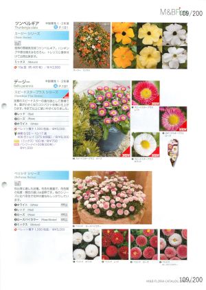 mbf_109