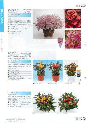 mbf_112