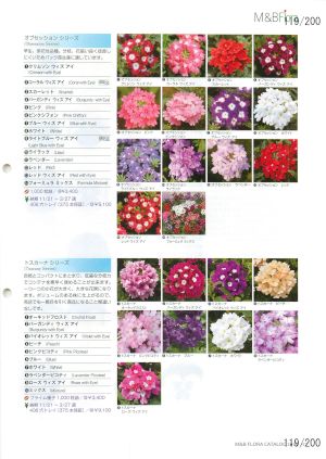 mbf_119