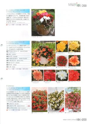 mbf_151