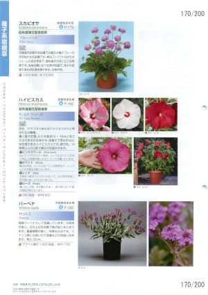 mbf_170