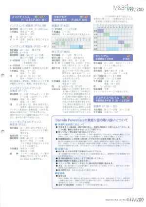 mbf_177