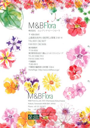 mbf_192