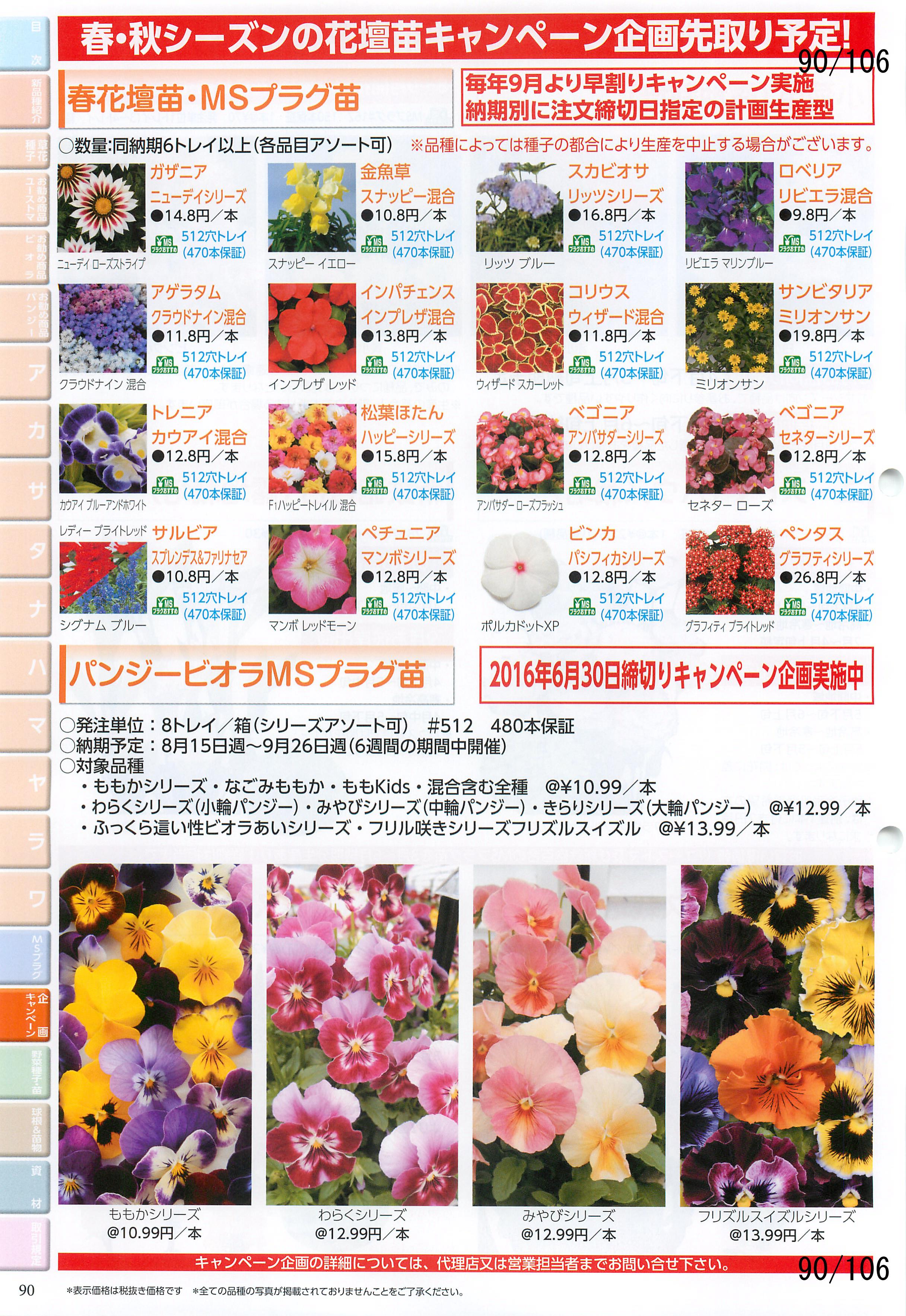 MURAKAMI SEED 営利栽培家用カタログ 2016-2017：90ページ