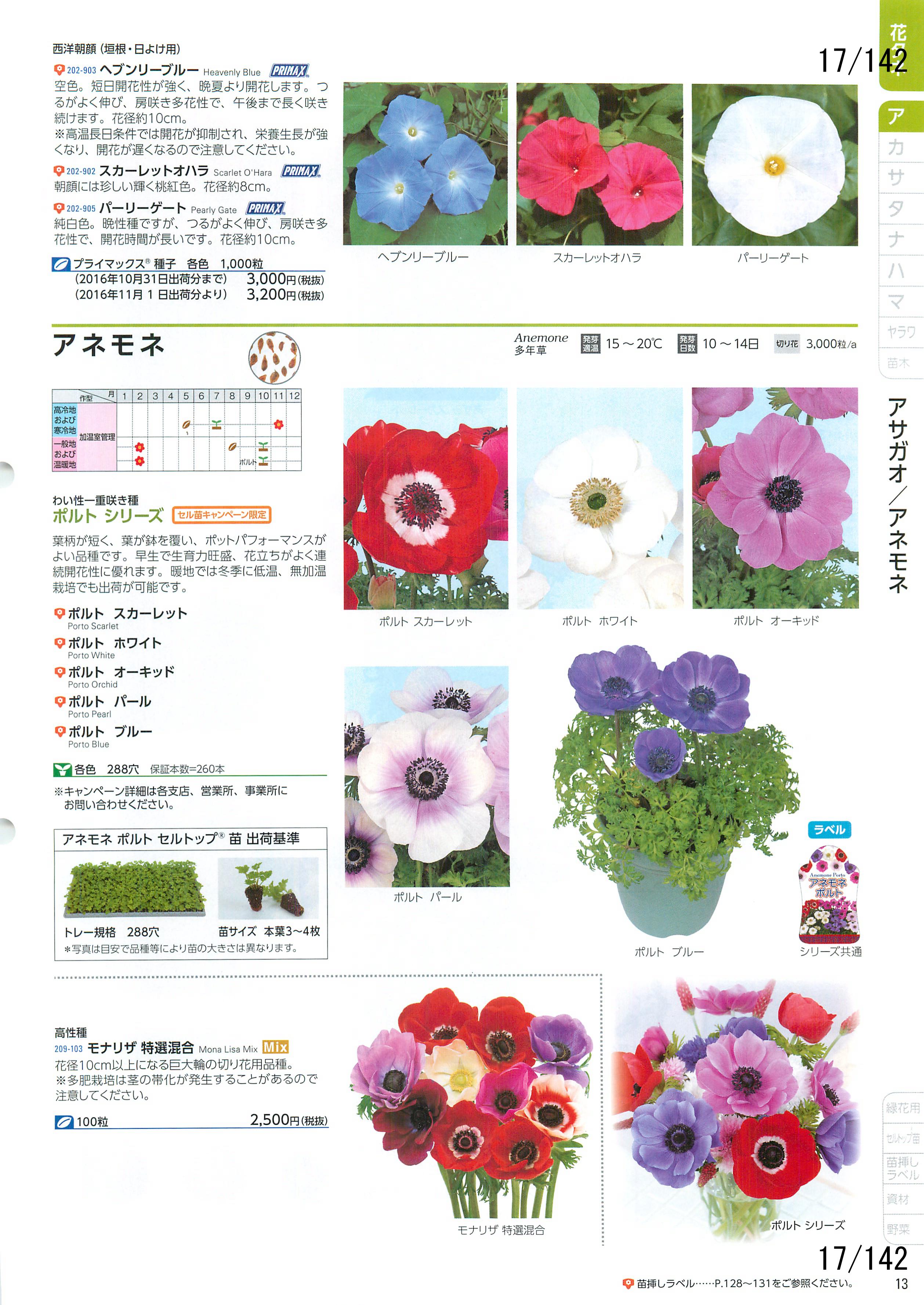 TJ^̉ CATALOG No.92F17y[W