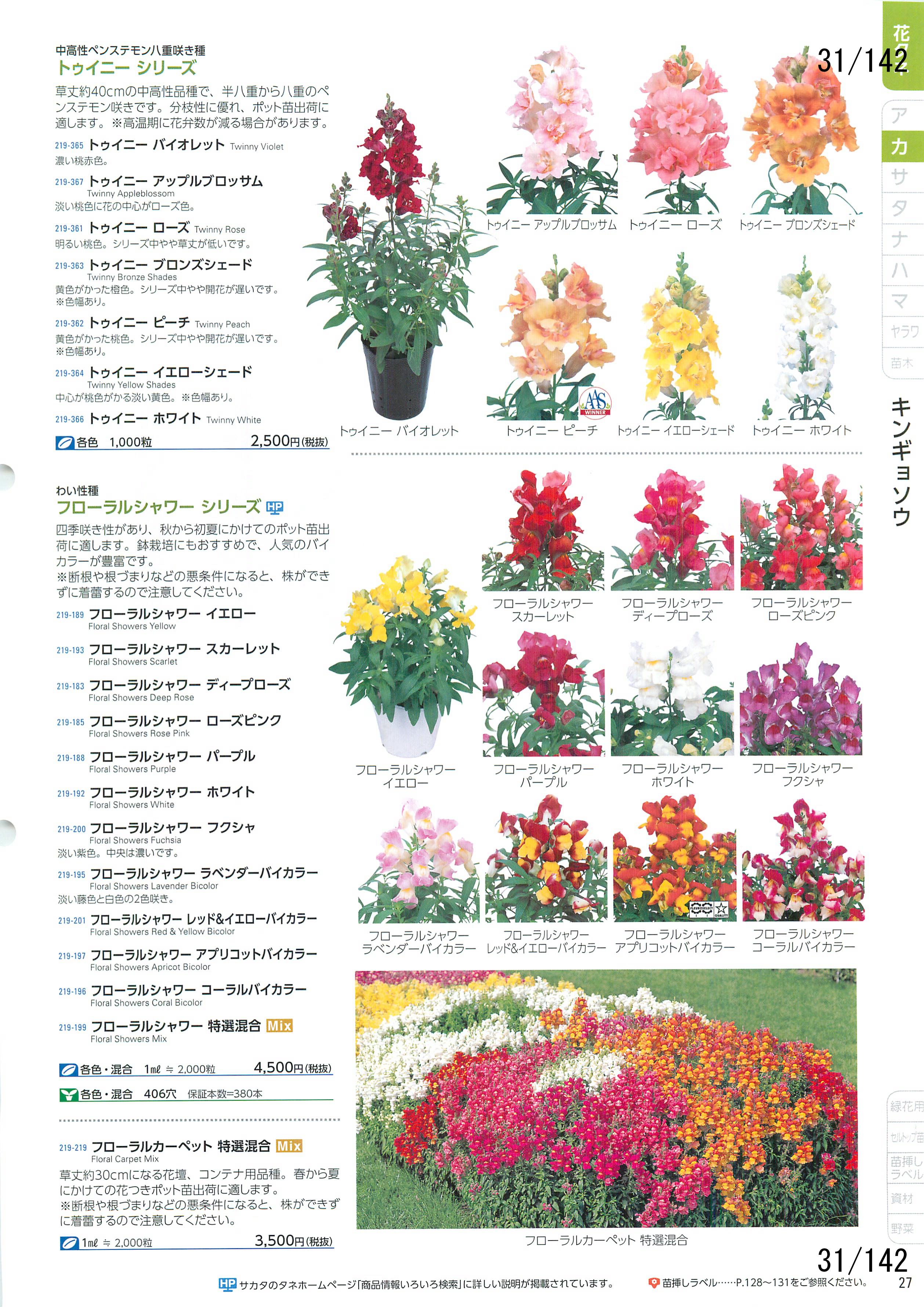 TJ^̉ CATALOG No.92F31y[W