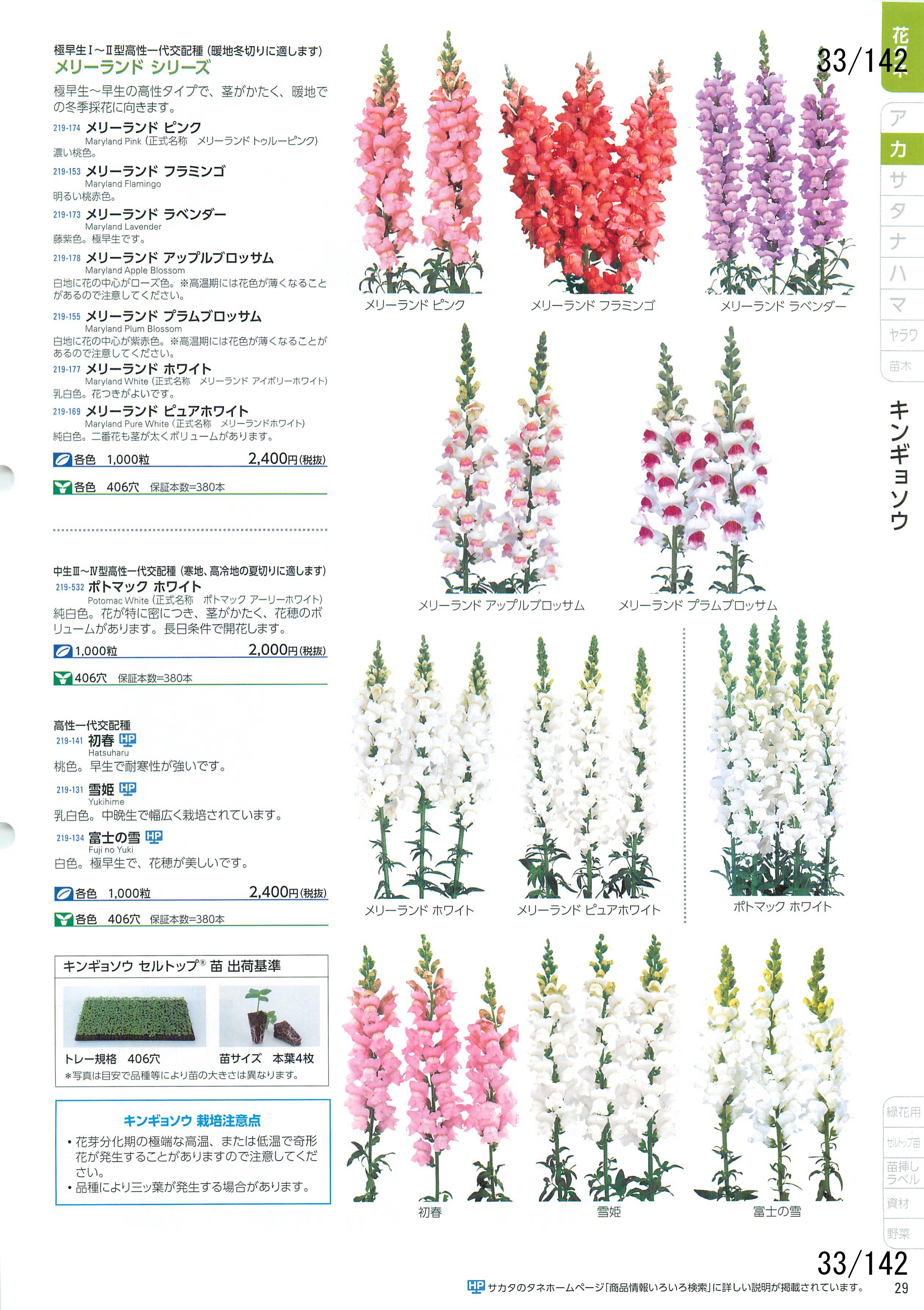 TJ^̉ CATALOG No.92F33y[W