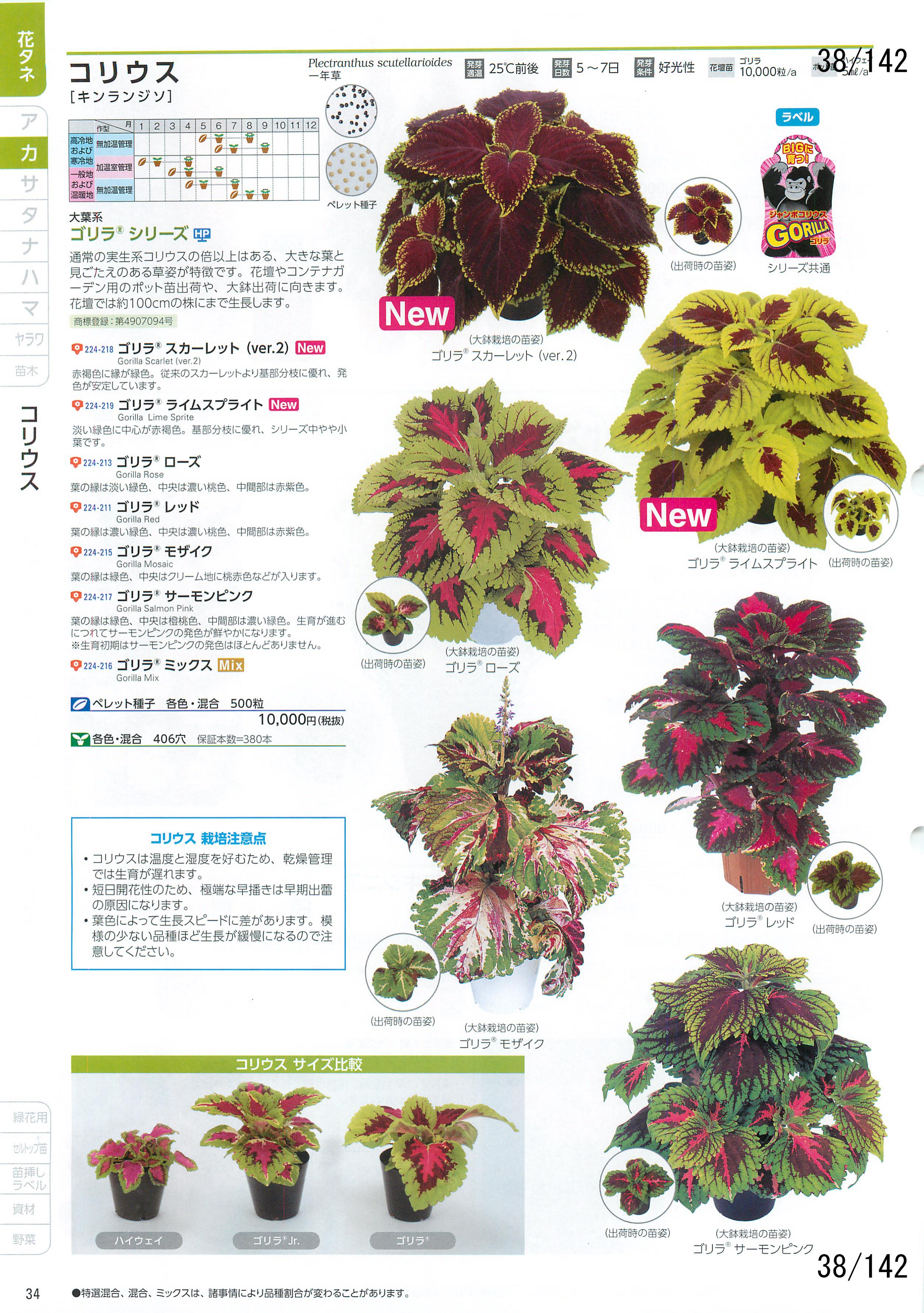 TJ^̉ CATALOG No.92F38y[W