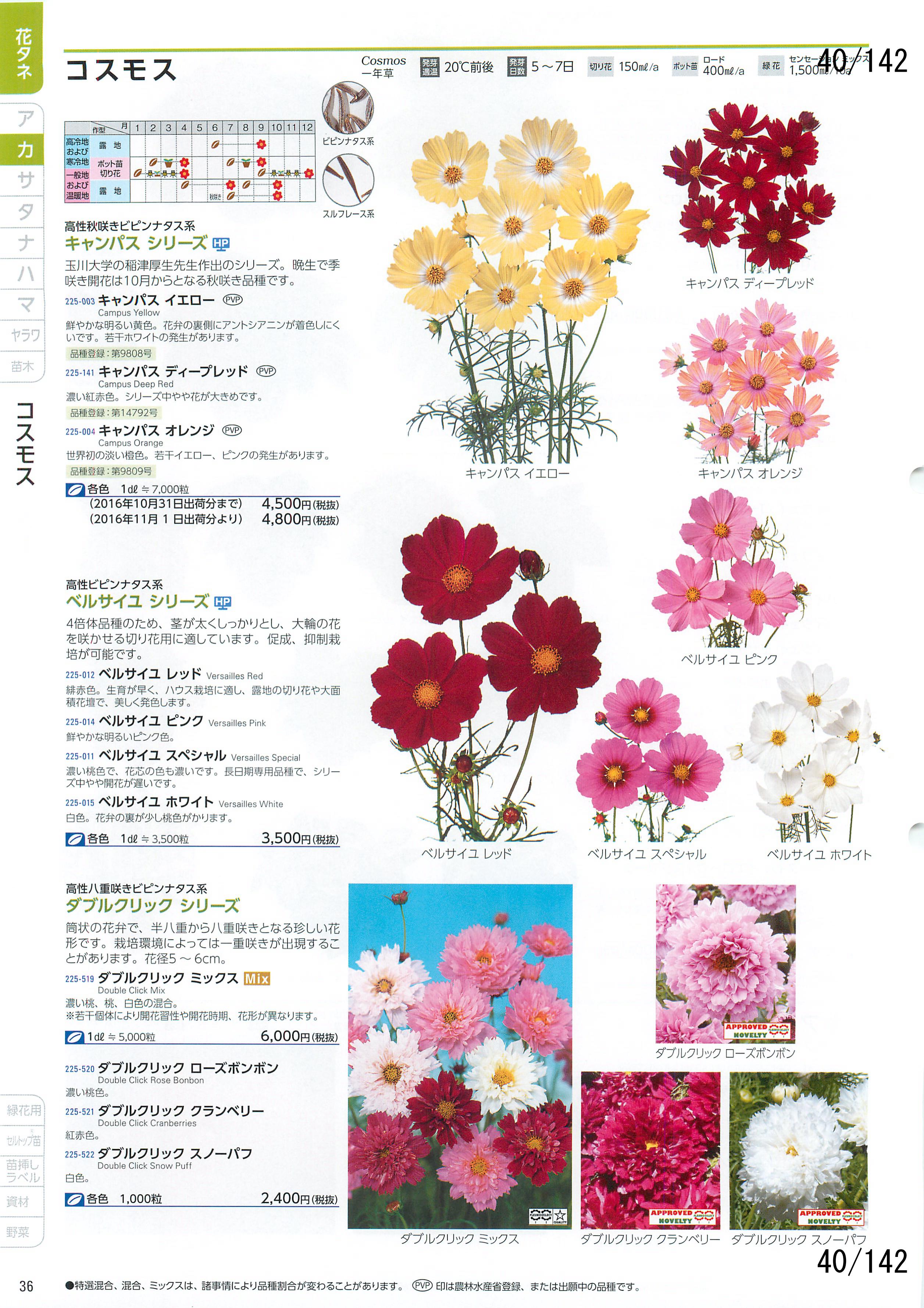 サカタの花 CATALOG No.92：40ページ
