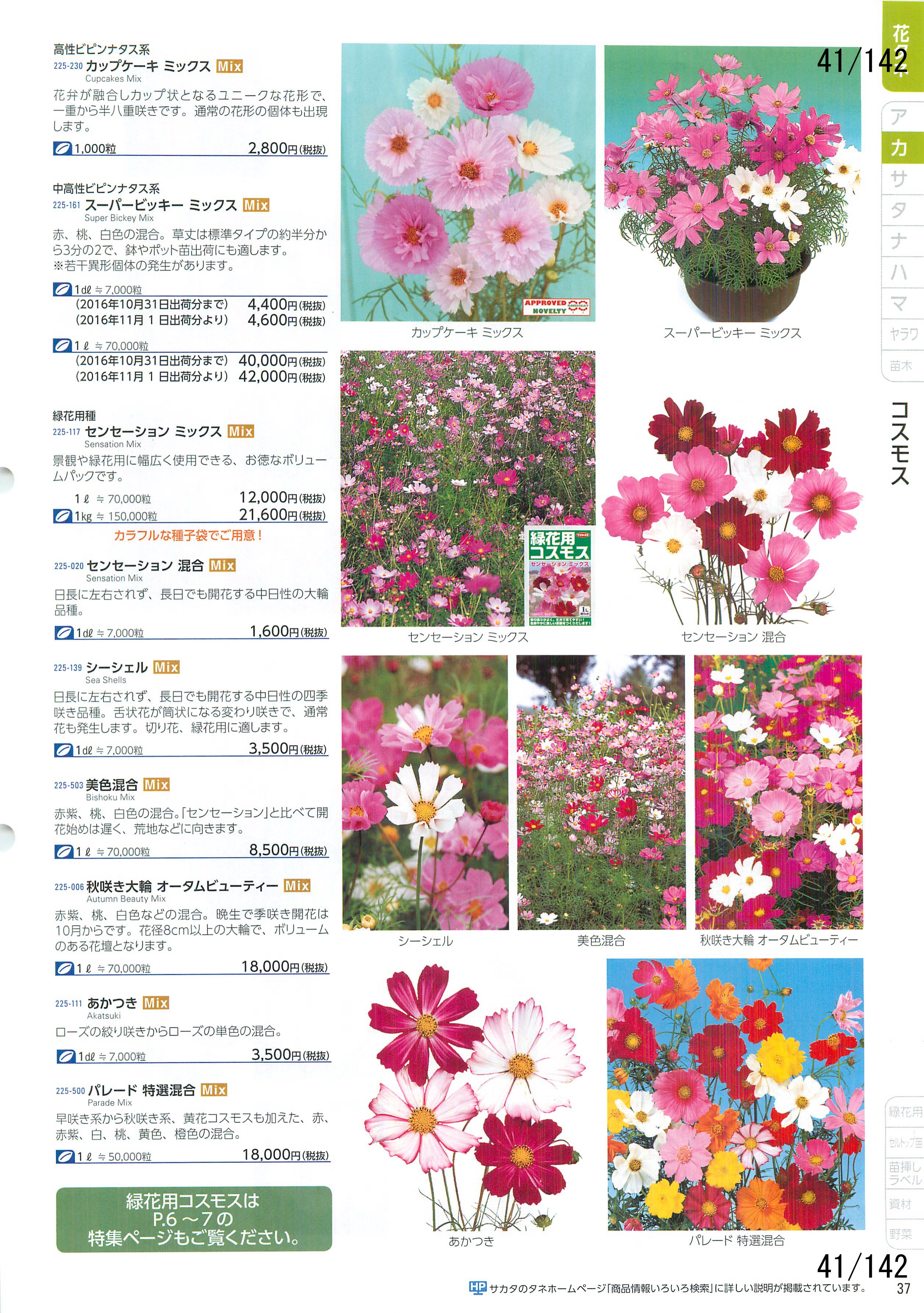 TJ^̉ CATALOG No.92F41y[W