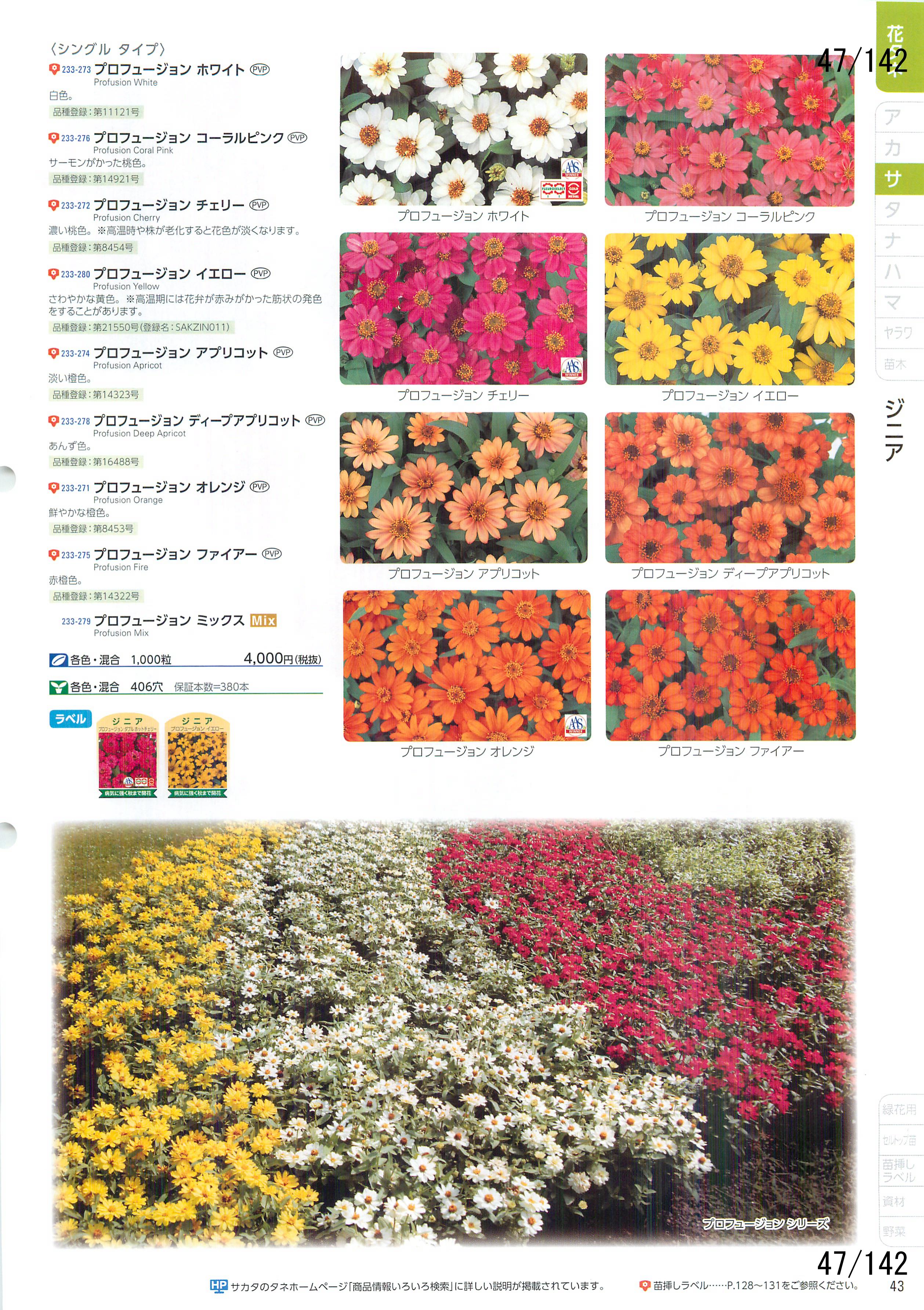 TJ^̉ CATALOG No.92F47y[W