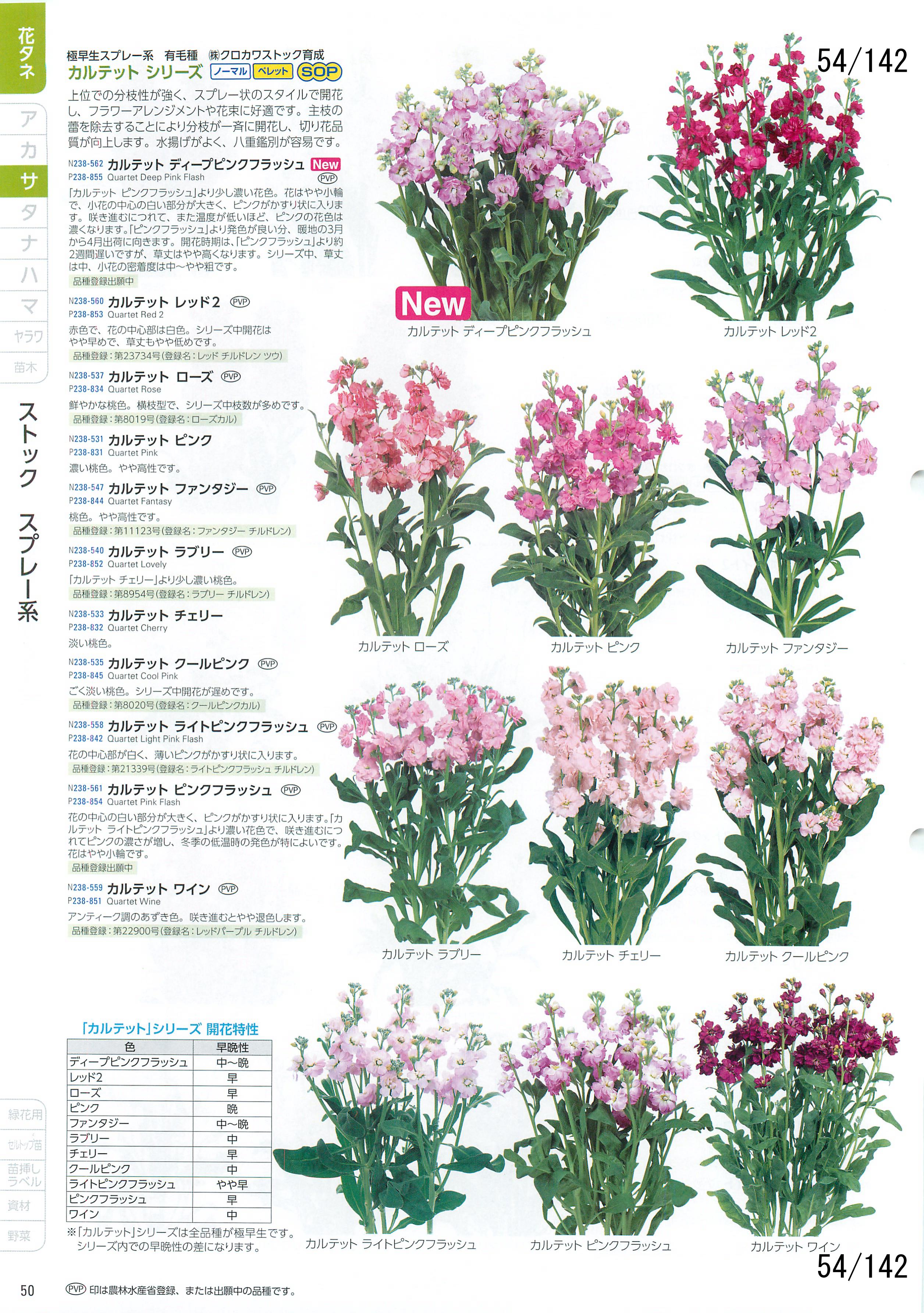 サカタの花 CATALOG No.92：54ページ