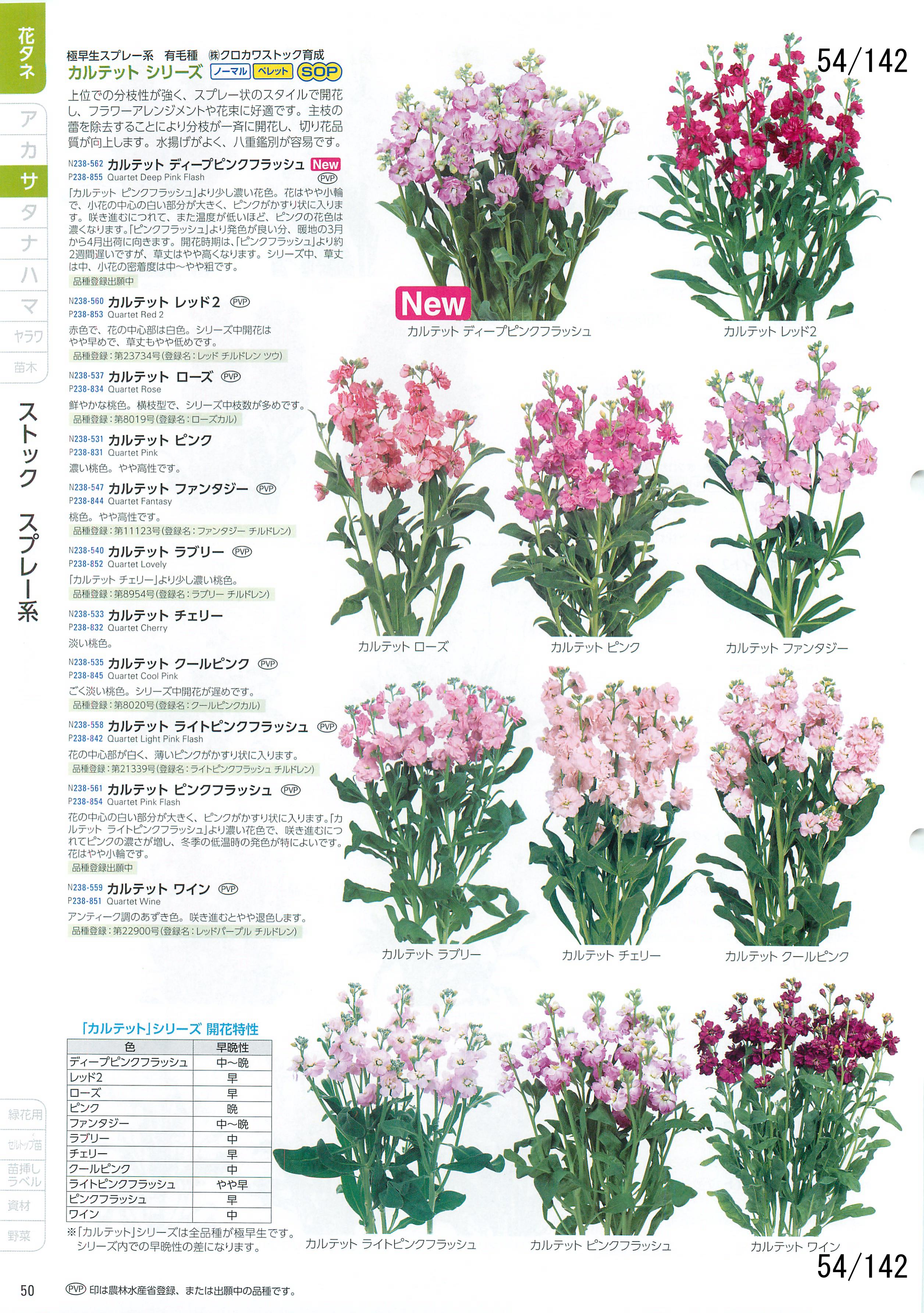 TJ^̉ CATALOG No.92F54y[W