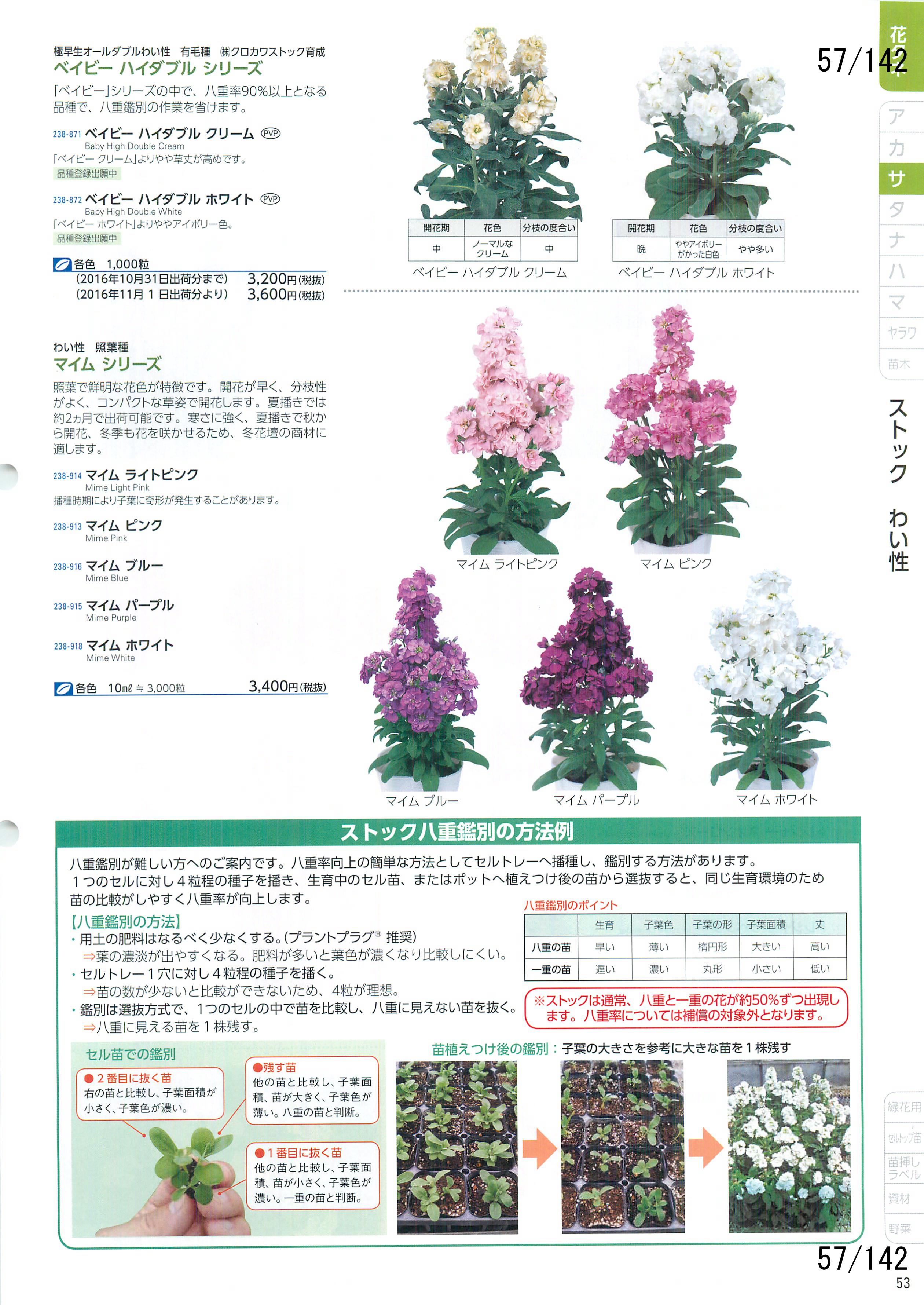 サカタの花 CATALOG No.92：57ページ