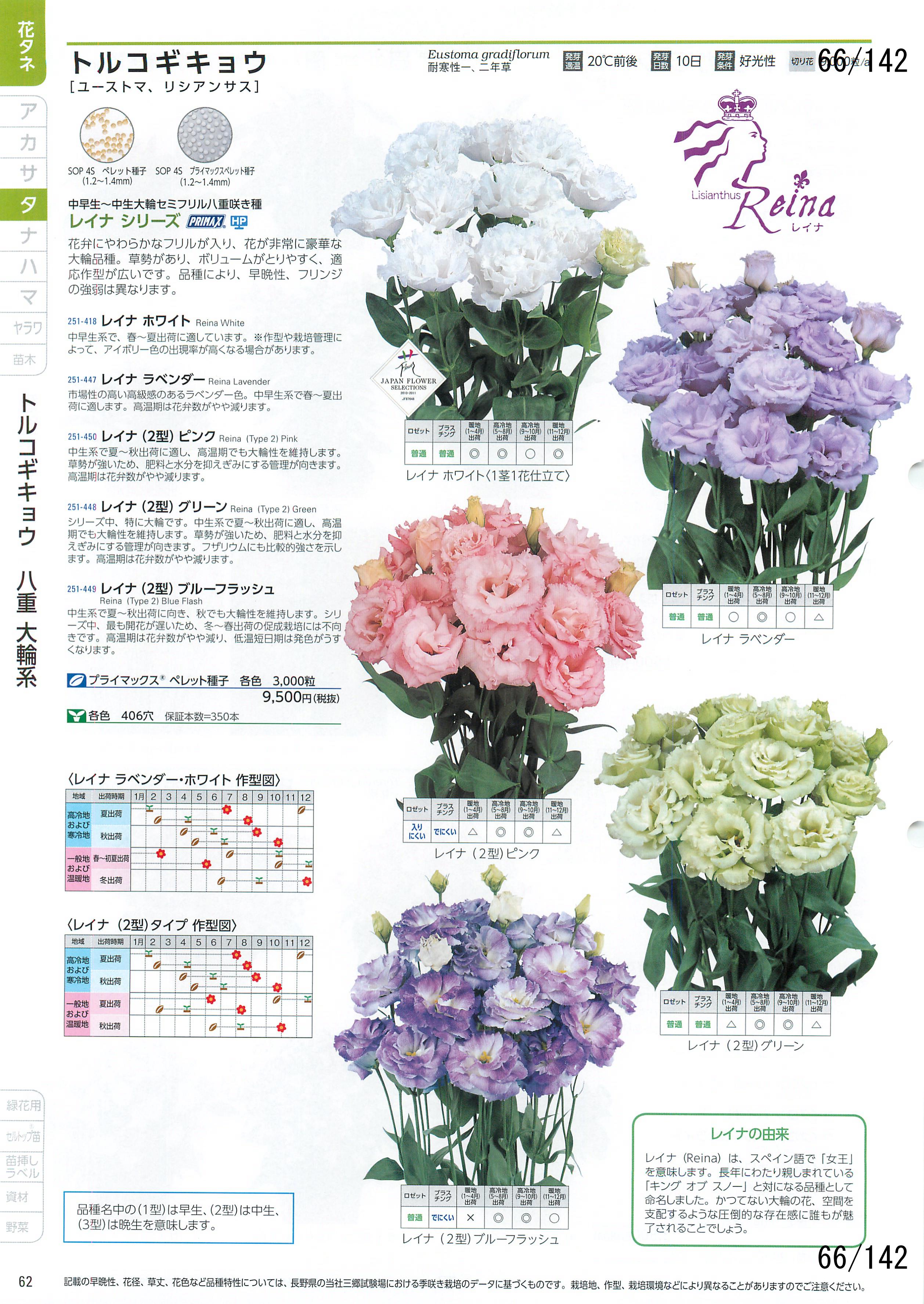 TJ^̉ CATALOG No.92F66y[W