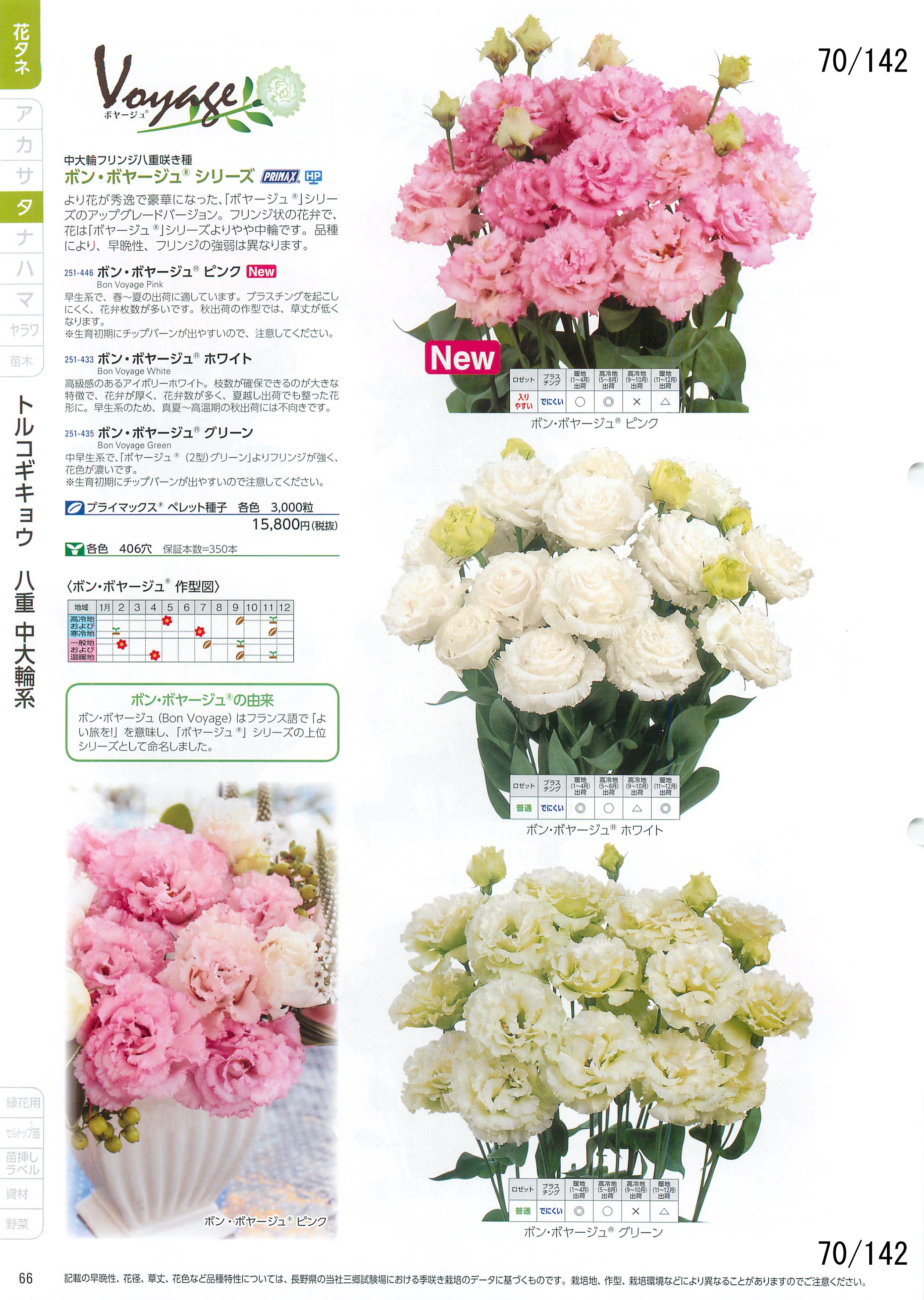 TJ^̉ CATALOG No.92F70y[W