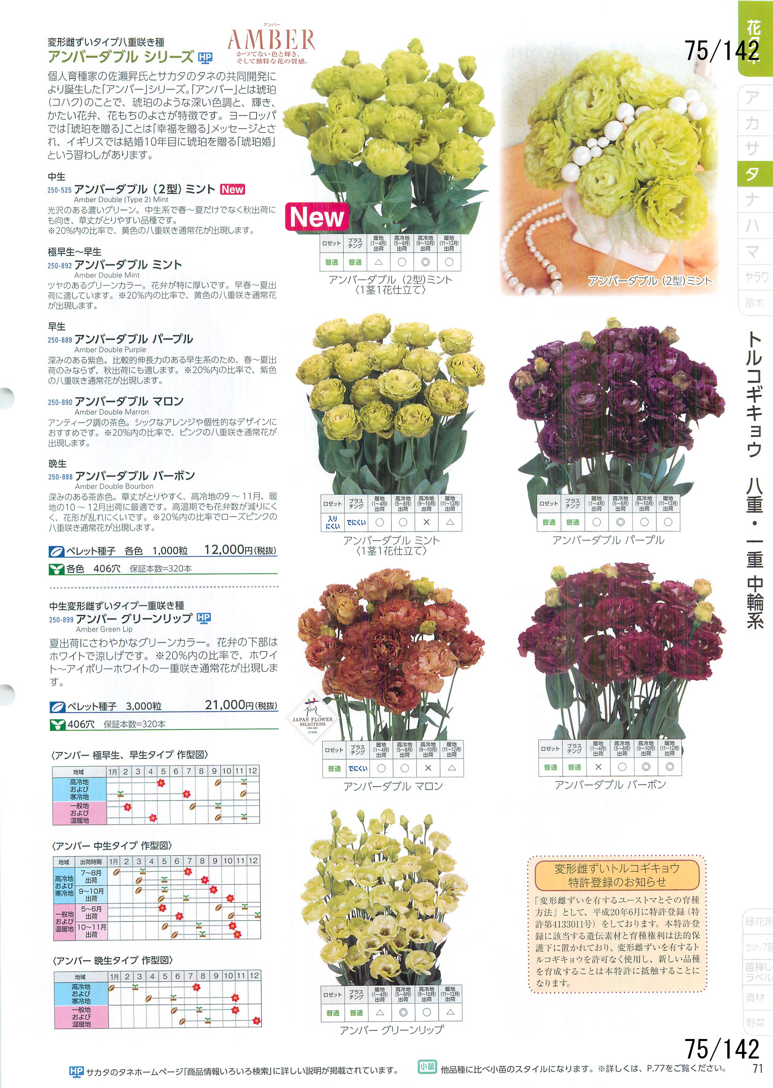 TJ^̉ CATALOG No.92F75y[W