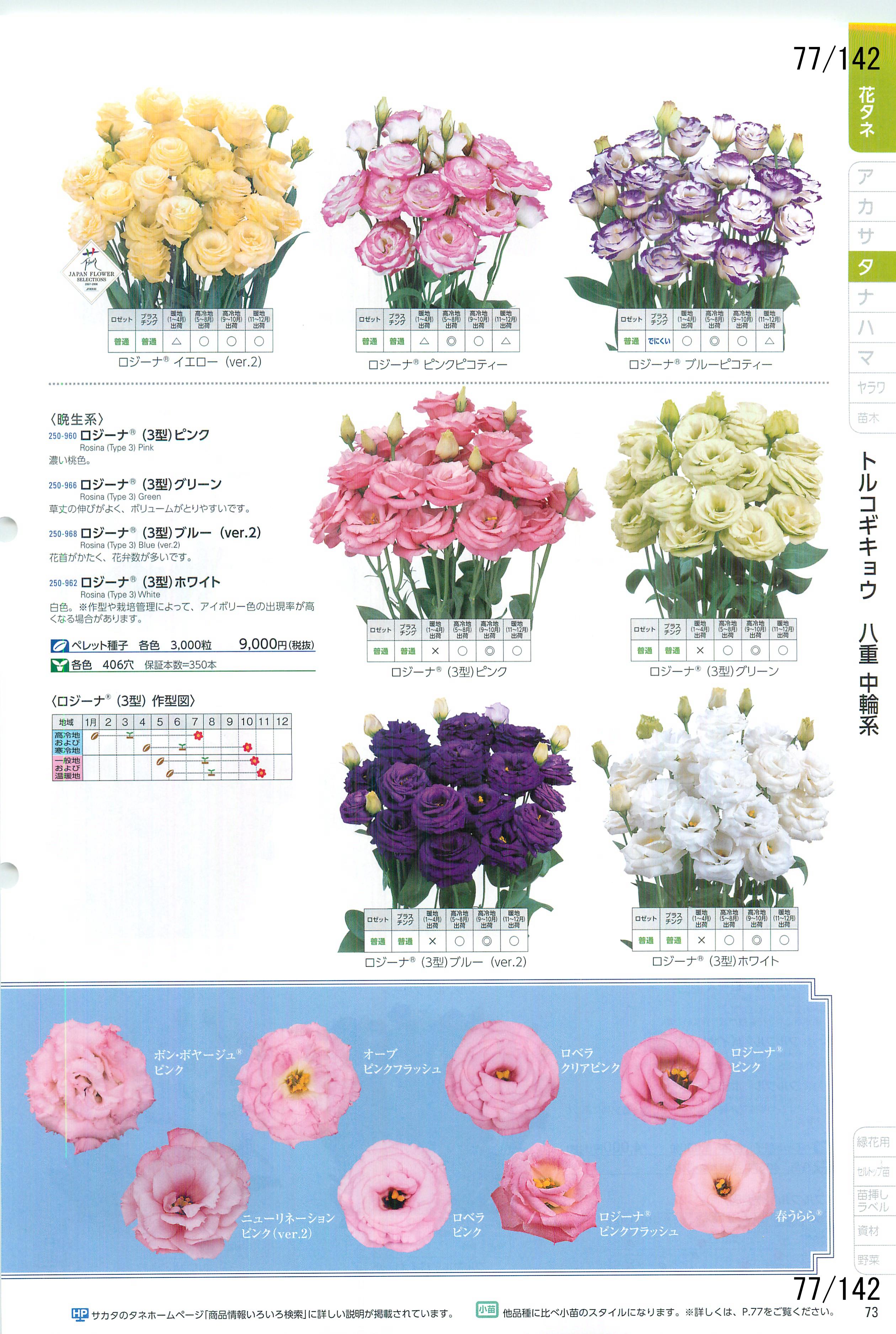 TJ^̉ CATALOG No.92F77y[W