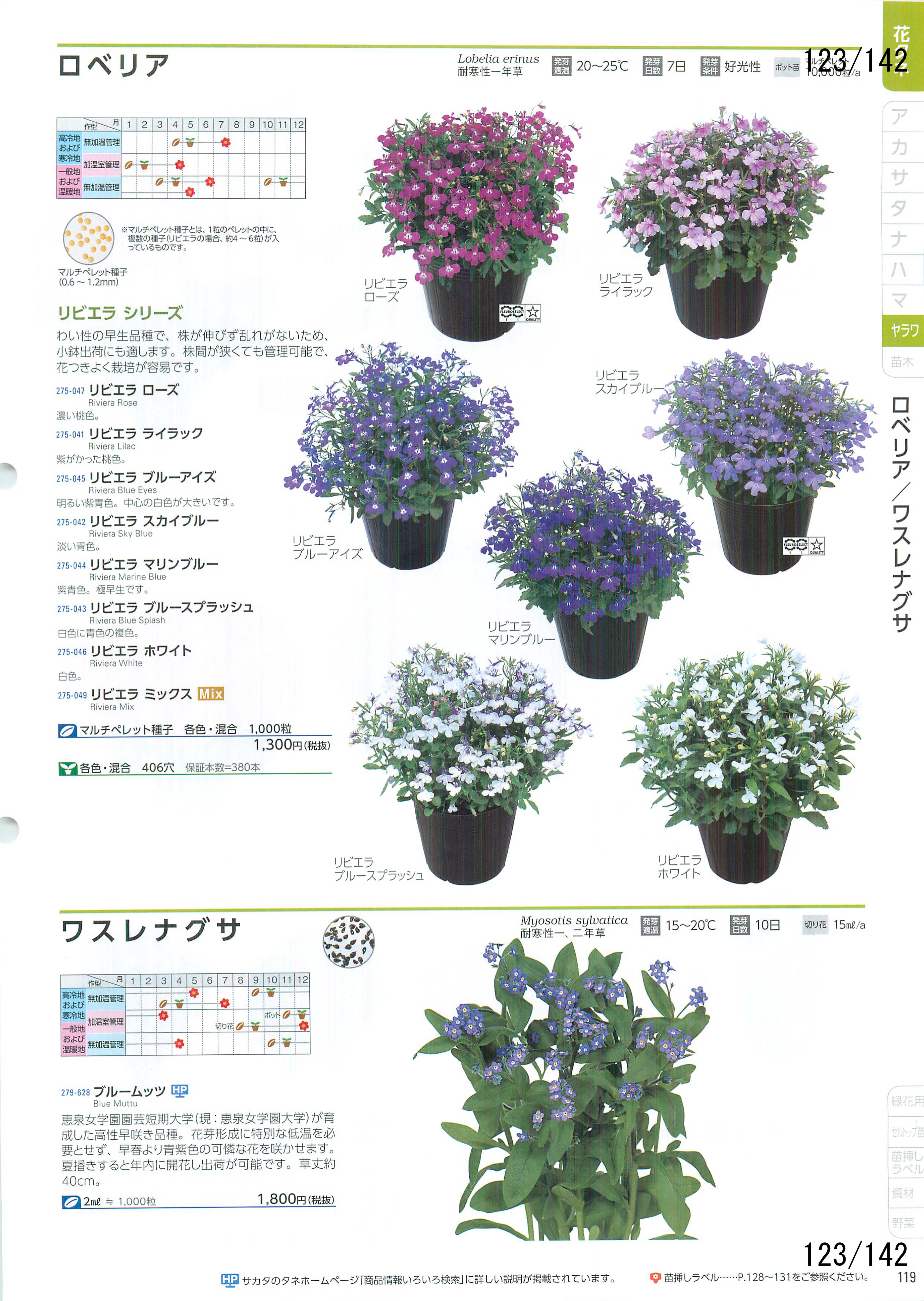 TJ^̉ CATALOG No.92F123y[W