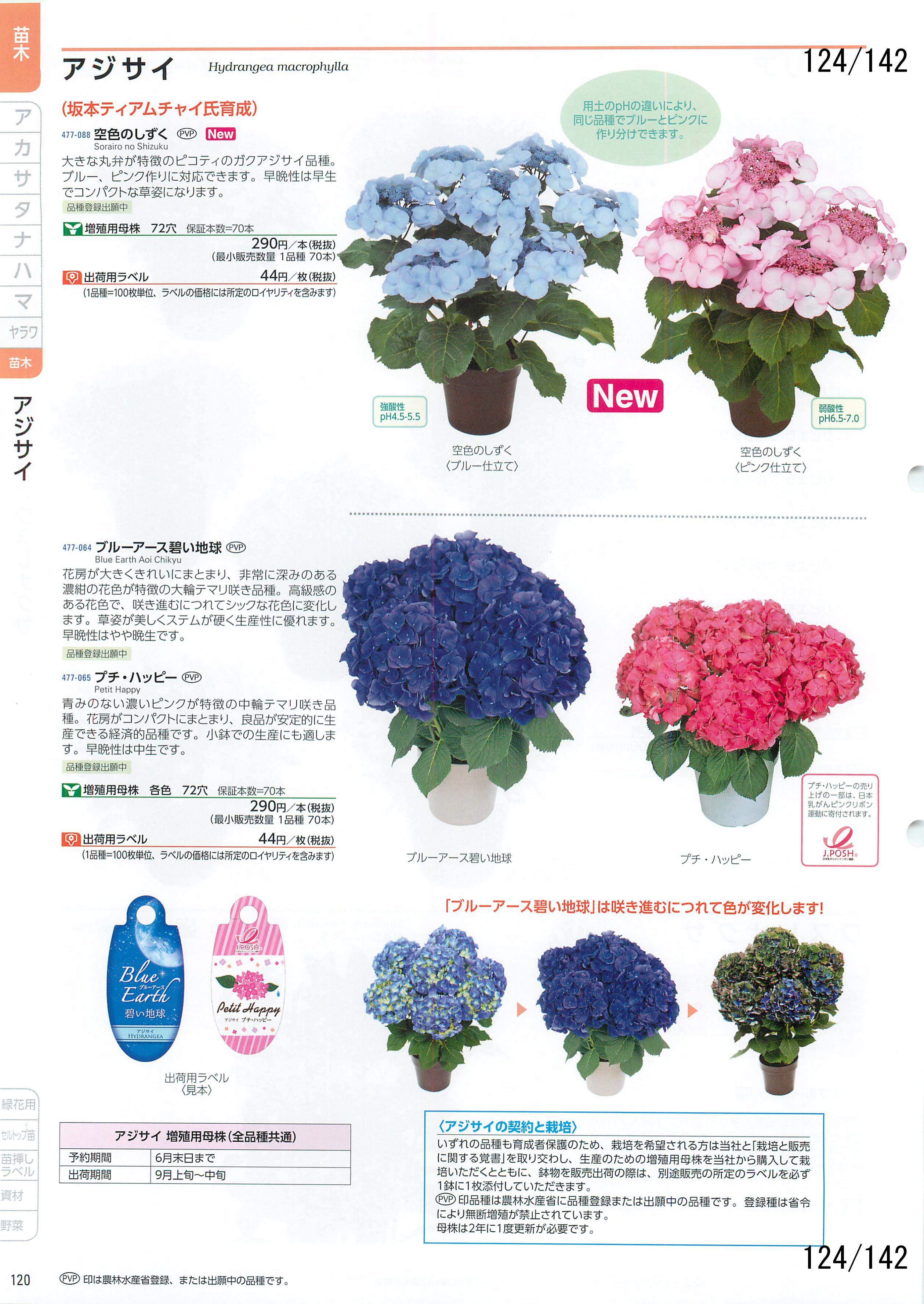 TJ^̉ CATALOG No.92F124y[W