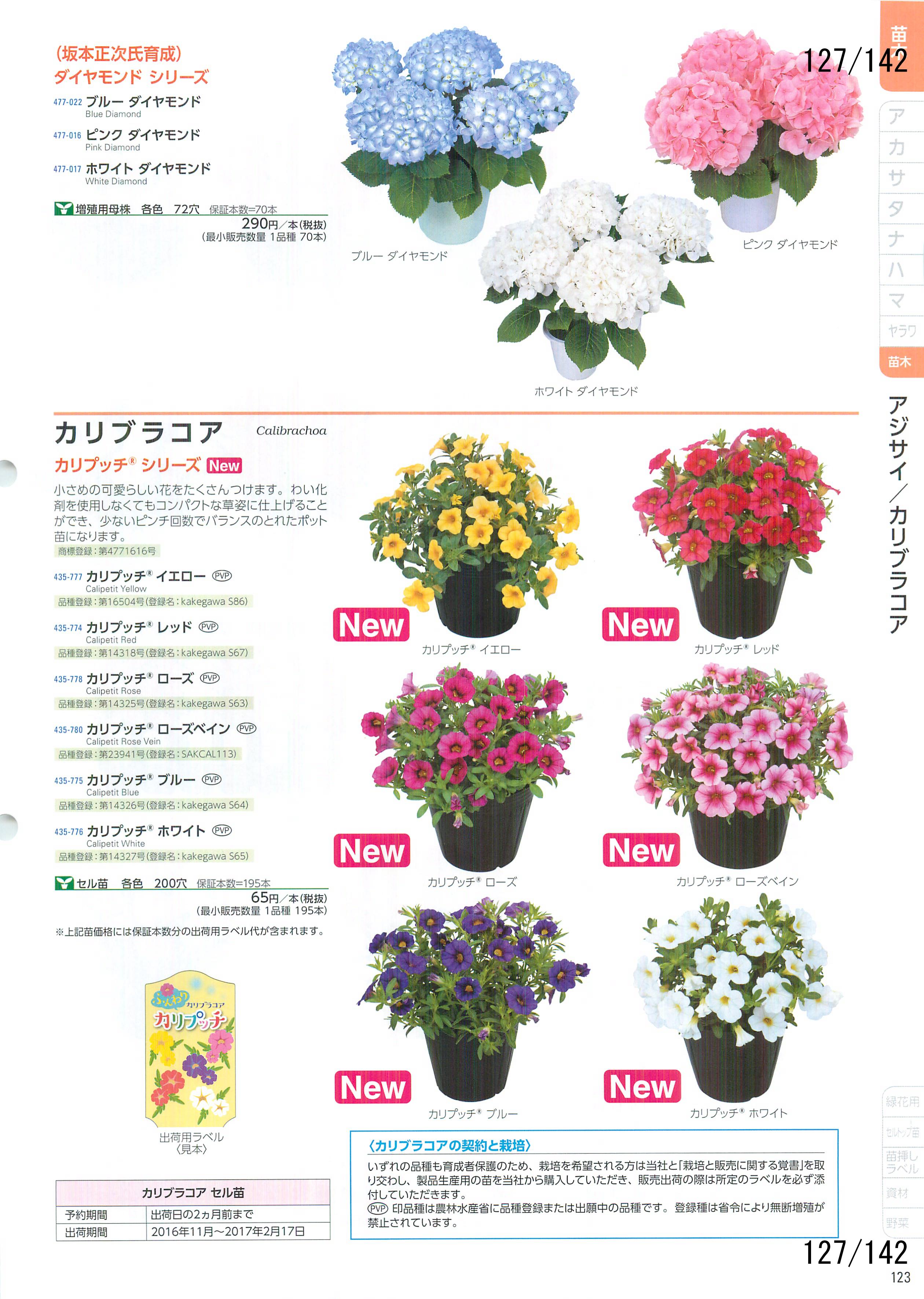 TJ^̉ CATALOG No.92F127y[W