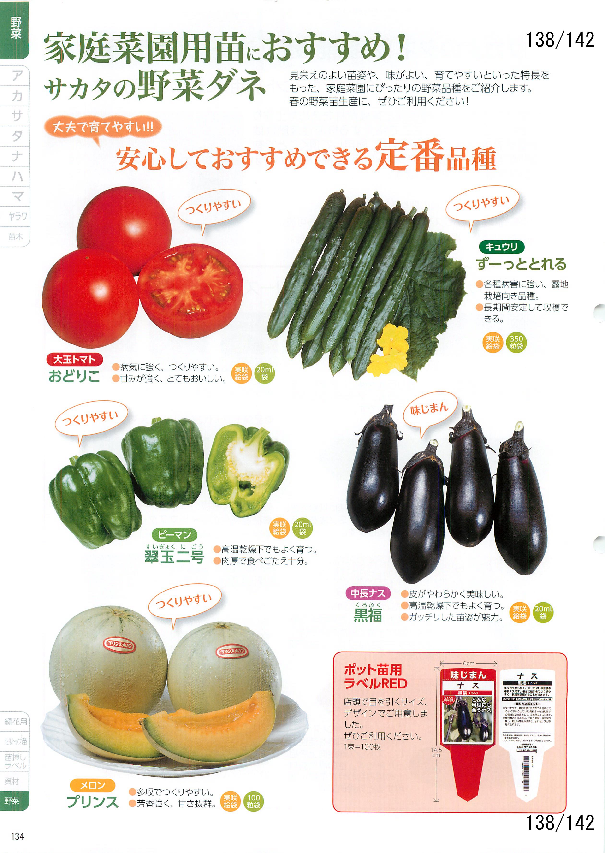 TJ^̉ CATALOG No.92F138y[W