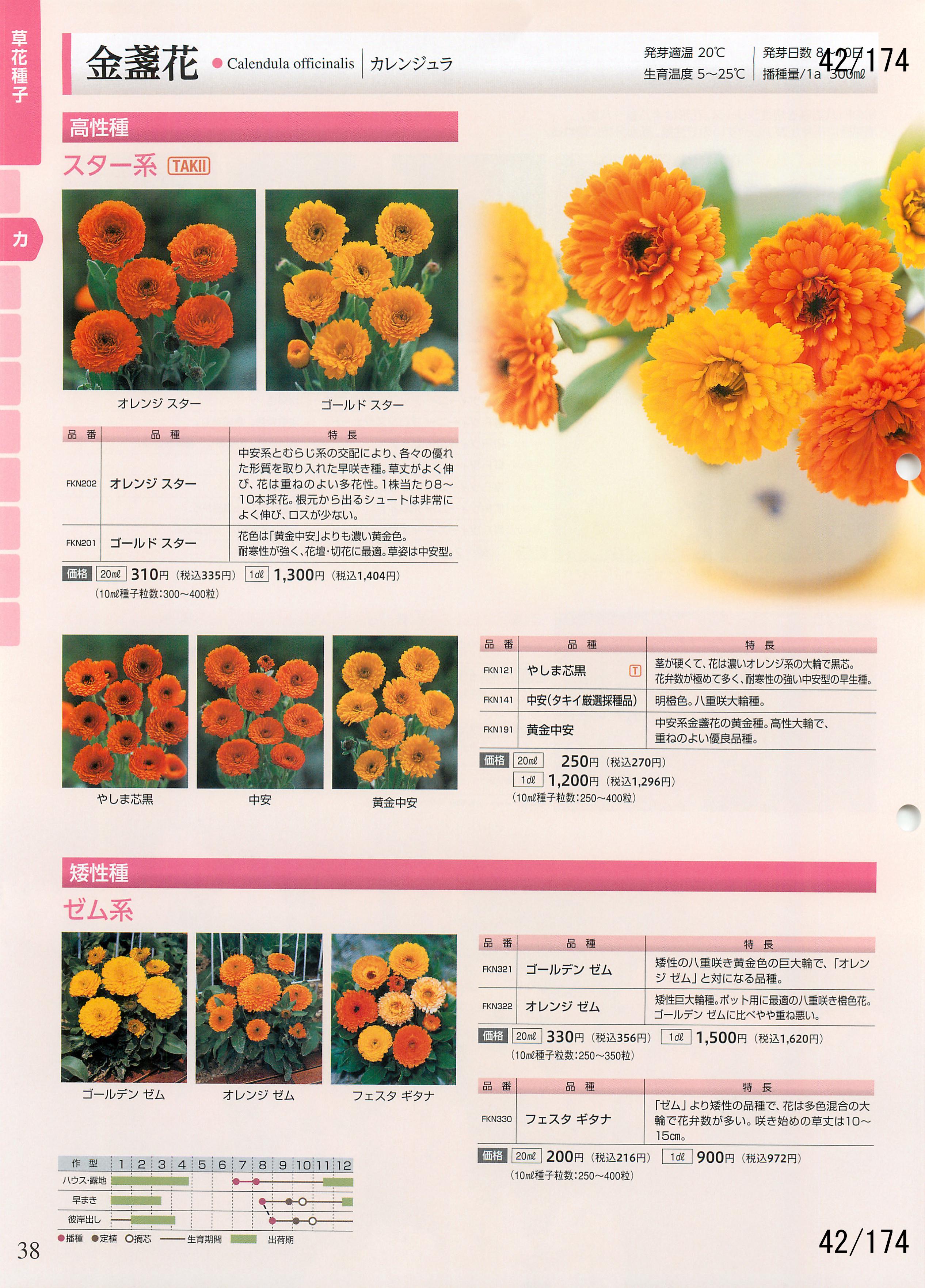 ^LC̉| 2016-2017F42y[W