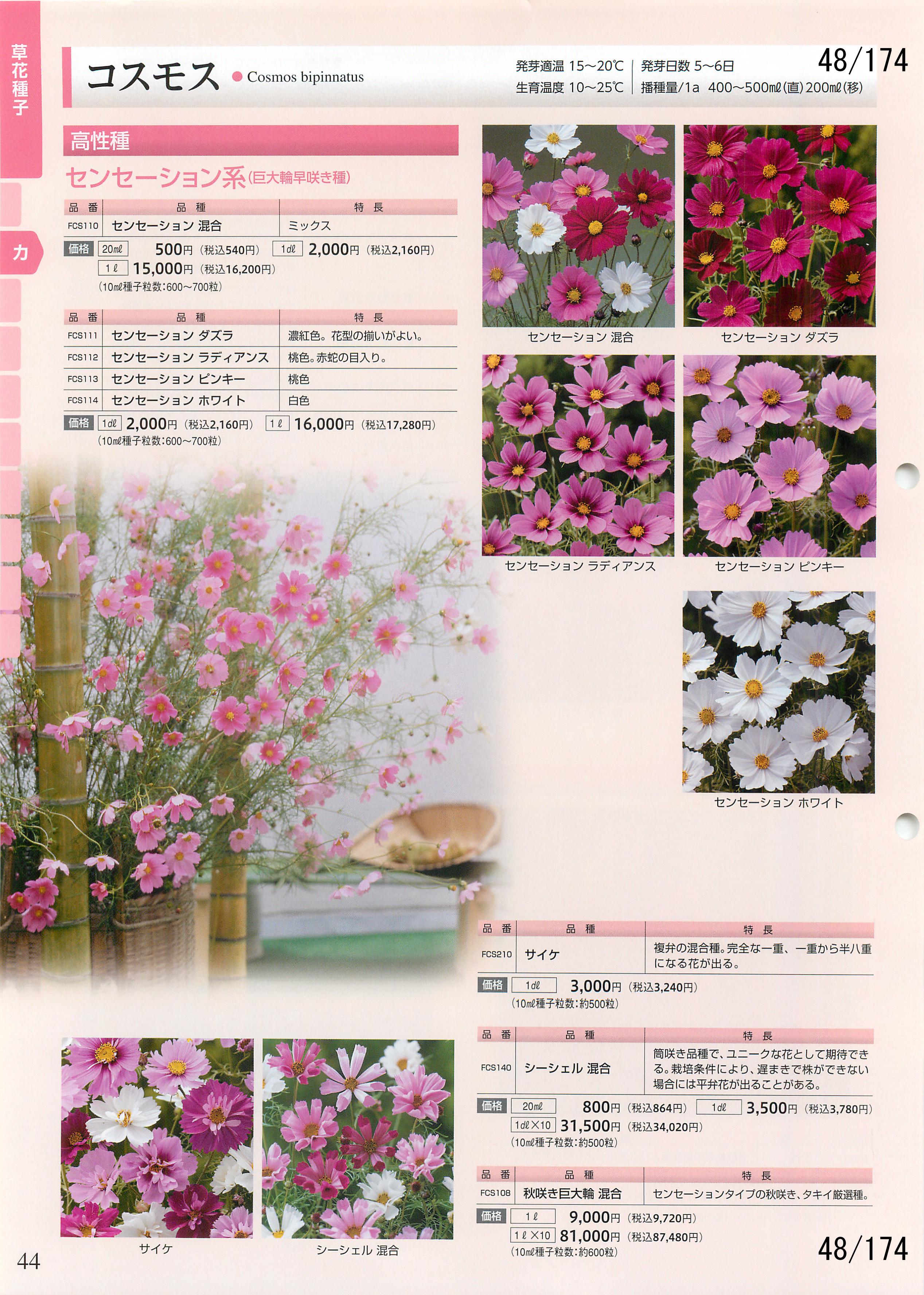 ^LC̉| 2016-2017F48y[W