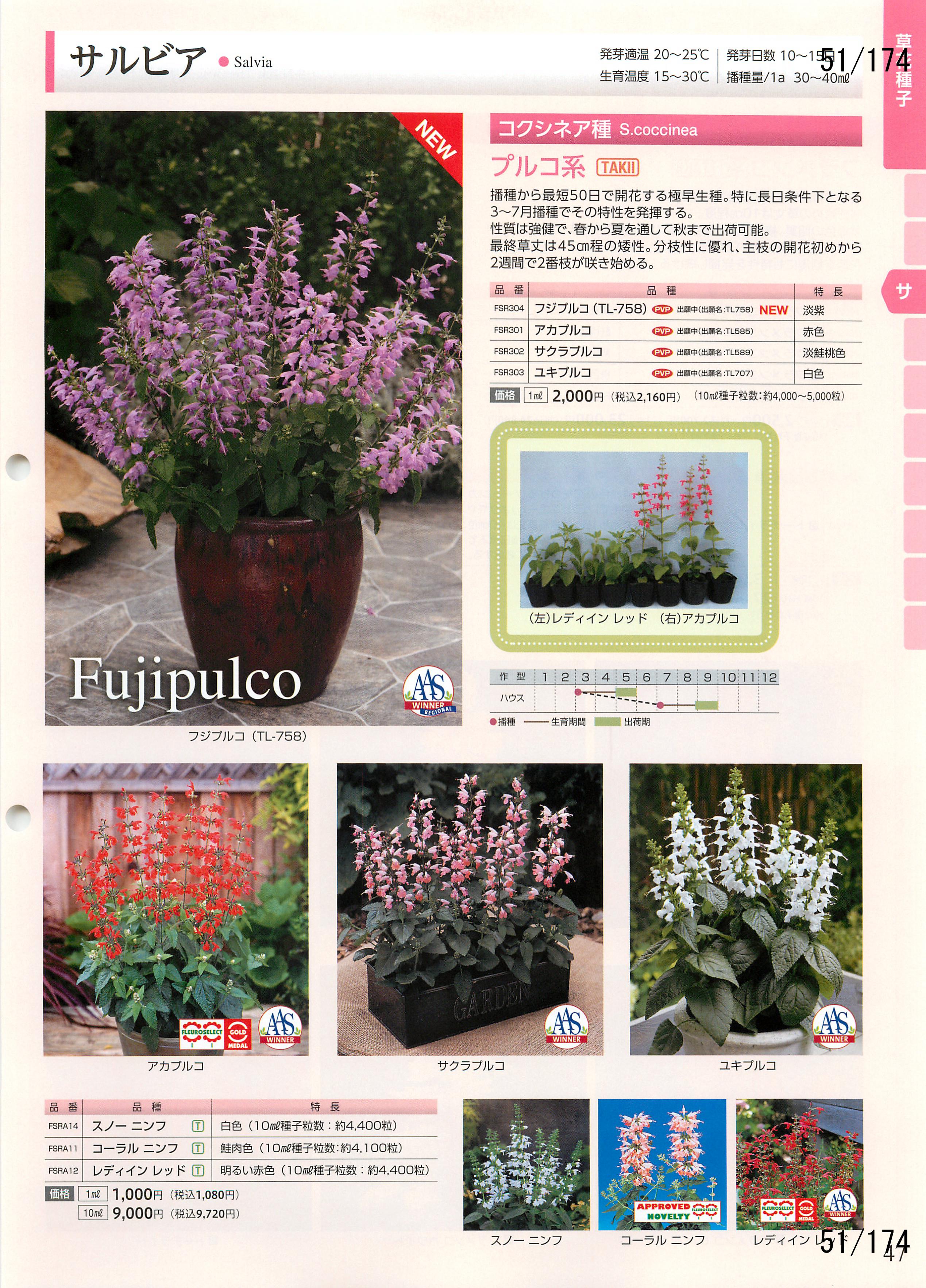 ^LC̉| 2016-2017F51y[W