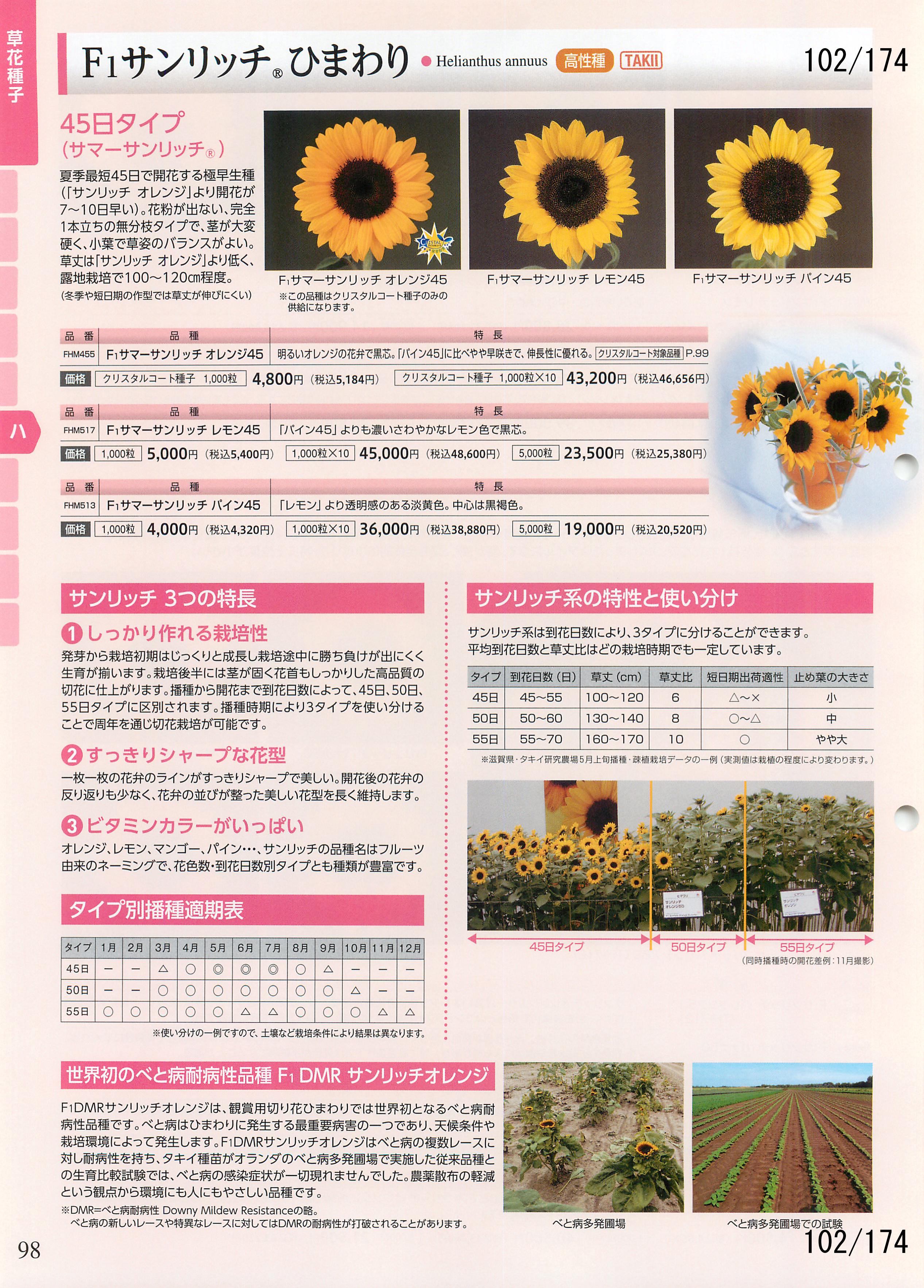 ^LC̉| 2016-2017F102y[W