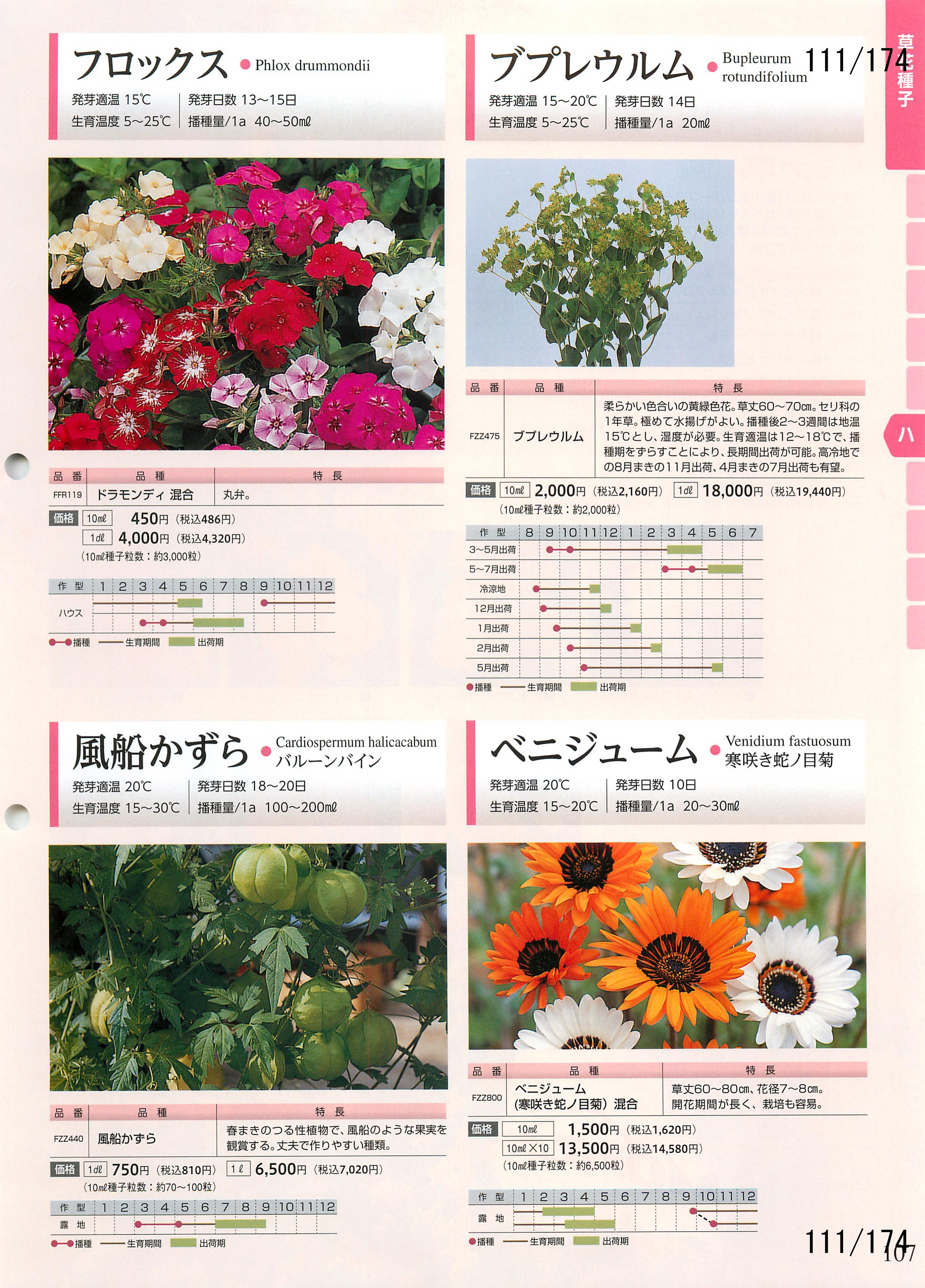 ^LC̉| 2016-2017F111y[W